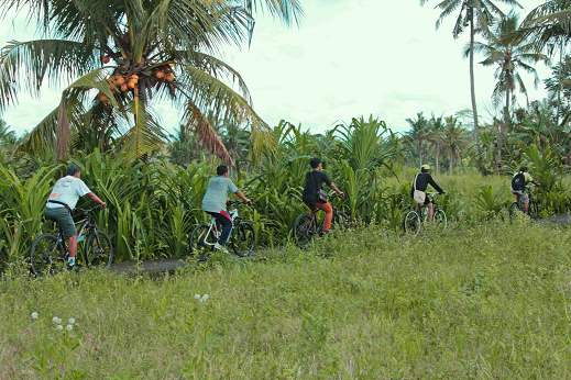 Cycling Through Beautiful Rice Fields in Bali