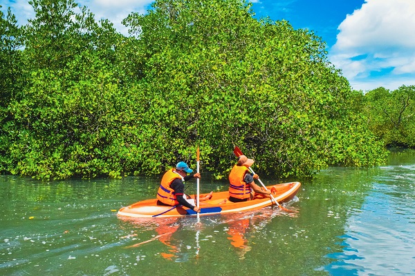 Two individuals wearing blue helmets and orange life vests paddle together in an orange kayak, navigating the clear waters surrounded by dense green mangroves. The day is bright with a blue sky overhead, and the water reflects the rich greenery of the trees. The pair seem focused on their journey, with ripples in the water indicating their steady movement
