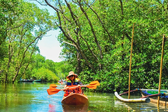 A traveler paddling a bright orange kayak through the dense green mangrove channels of Bali, with traditional boats visible in the background.