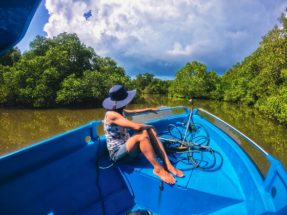 Bali Mangrove Forest - Glass Bottom Boat