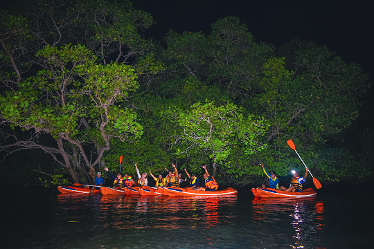 A group of kayakers paddling under a dusky sky in Bali's mangrove waters, with trees silhouetted against the evening light.