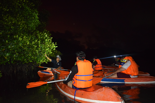 Nighttime kayaking scene showing participants with headlamps and paddles, peering into the dark mangrove waters lit by a camera flash.