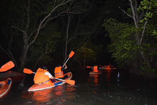 Kayakers navigate the shadowy waters of Bali's mangrove forests at night, with only their orange paddles and life jackets visible against the dark backdrop of the trees and night sky.